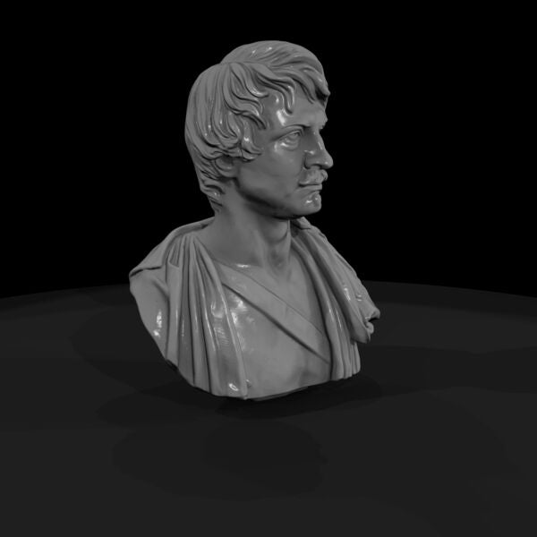 Custom figure print